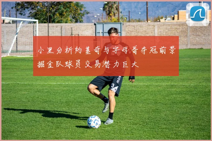 小里分析约基奇与字母哥夺冠前景掘金队球员交易潜力巨大